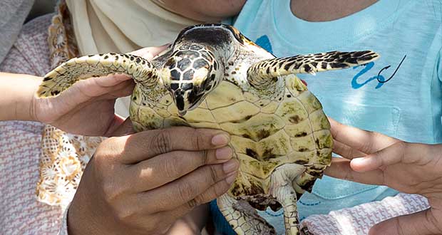 Trip Ke Pulau Seribu
